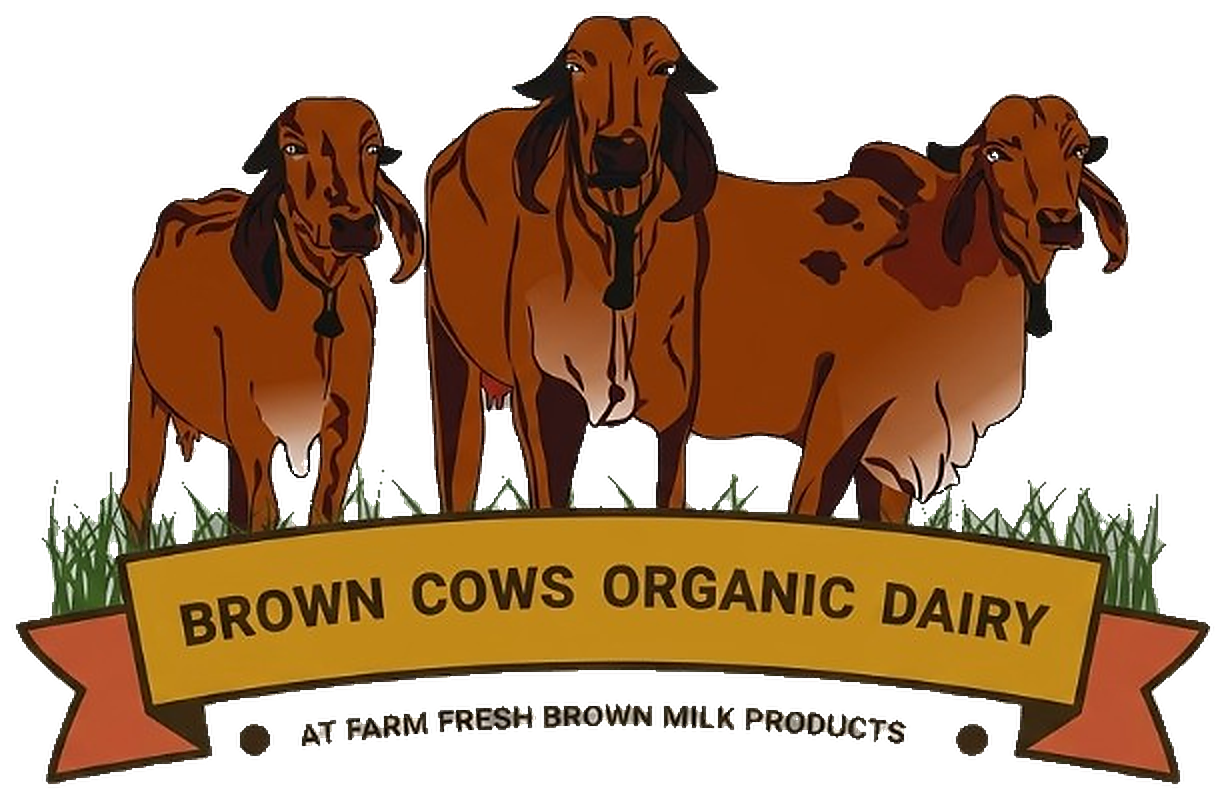 Brown Cows